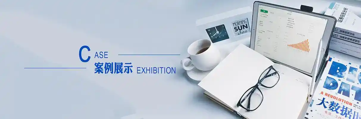 天长市软件开发